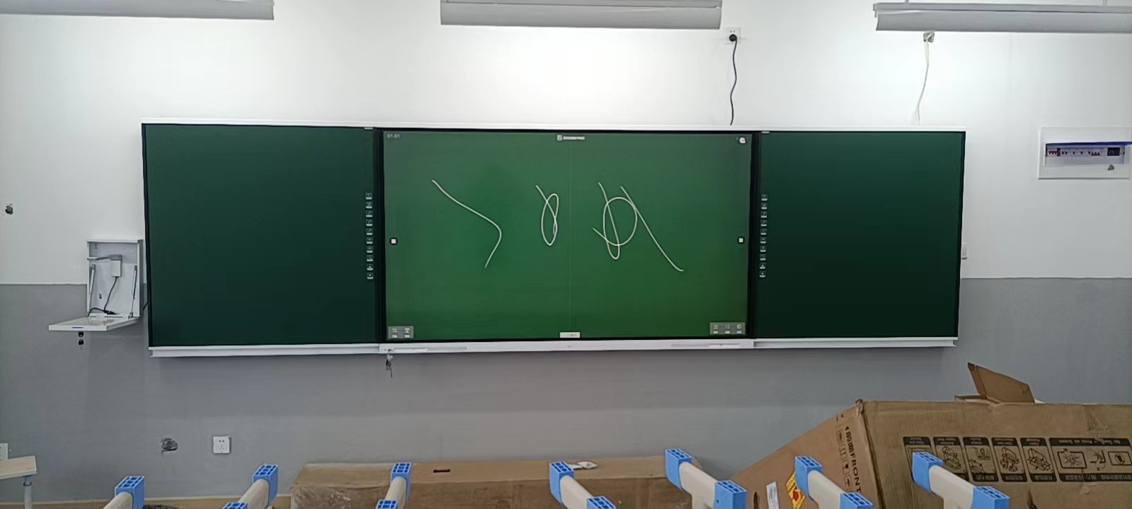 小学科学课堂投影仪的动植物生长过程延时投影与观察记录